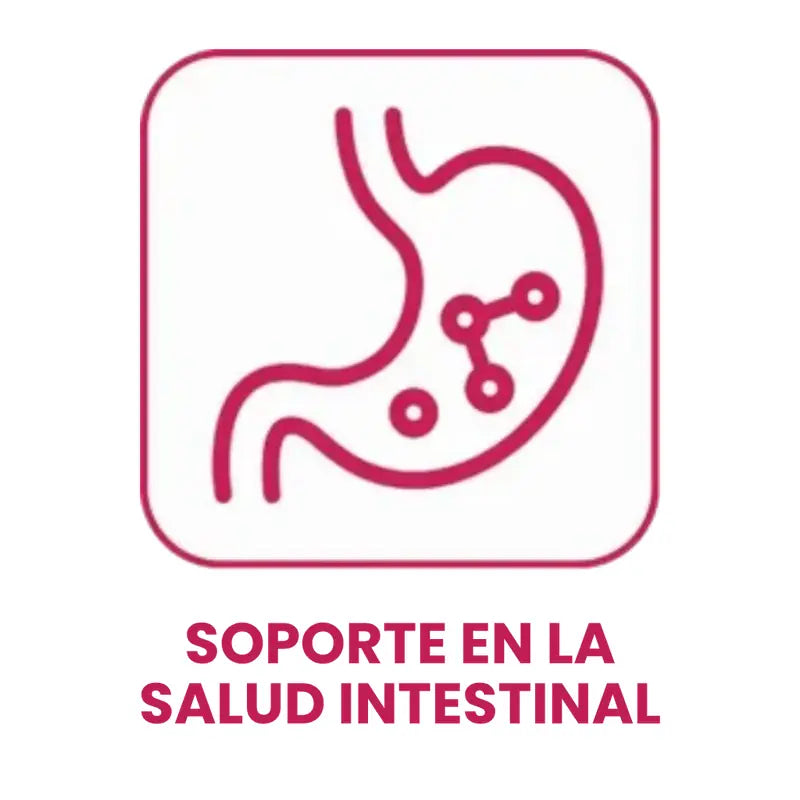 Soporte en la salud intestinal