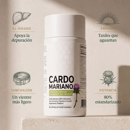 Cardo Mariano Detox Hepático