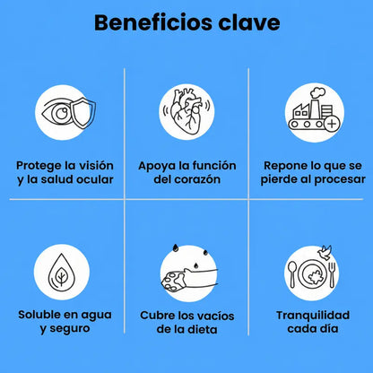 Beneficios clave de la taurina para gatos