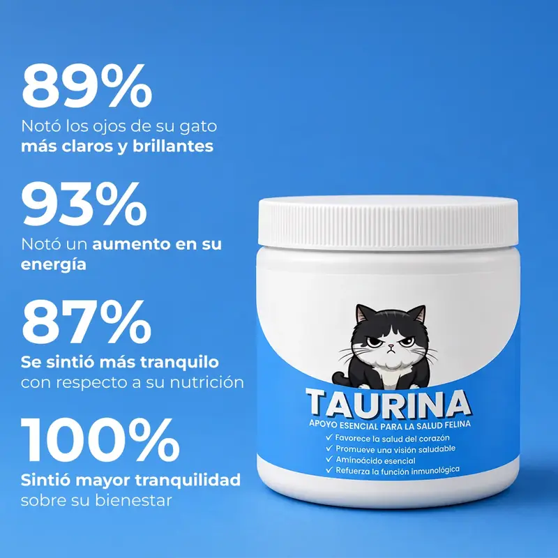 Lo que notaron los dueños con la taurina para gatos