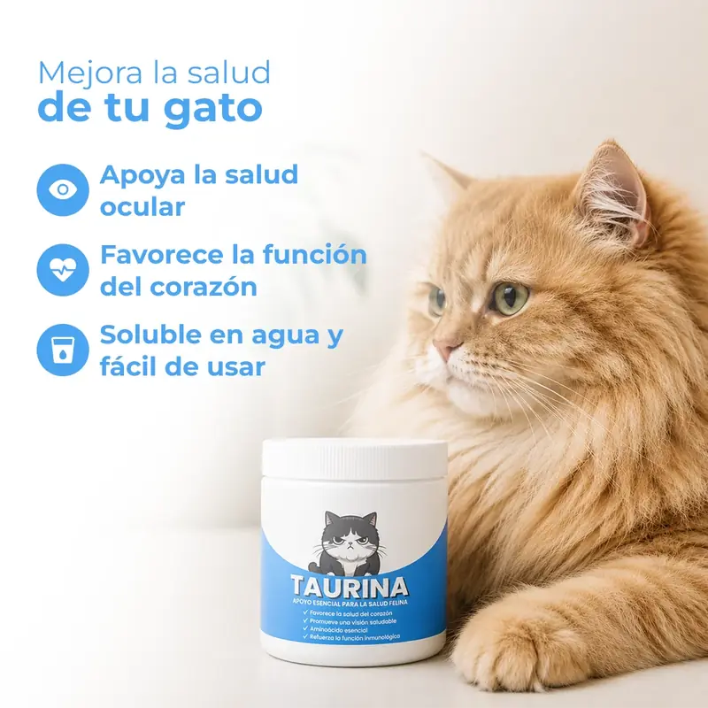 Mejora la salud de tu gato