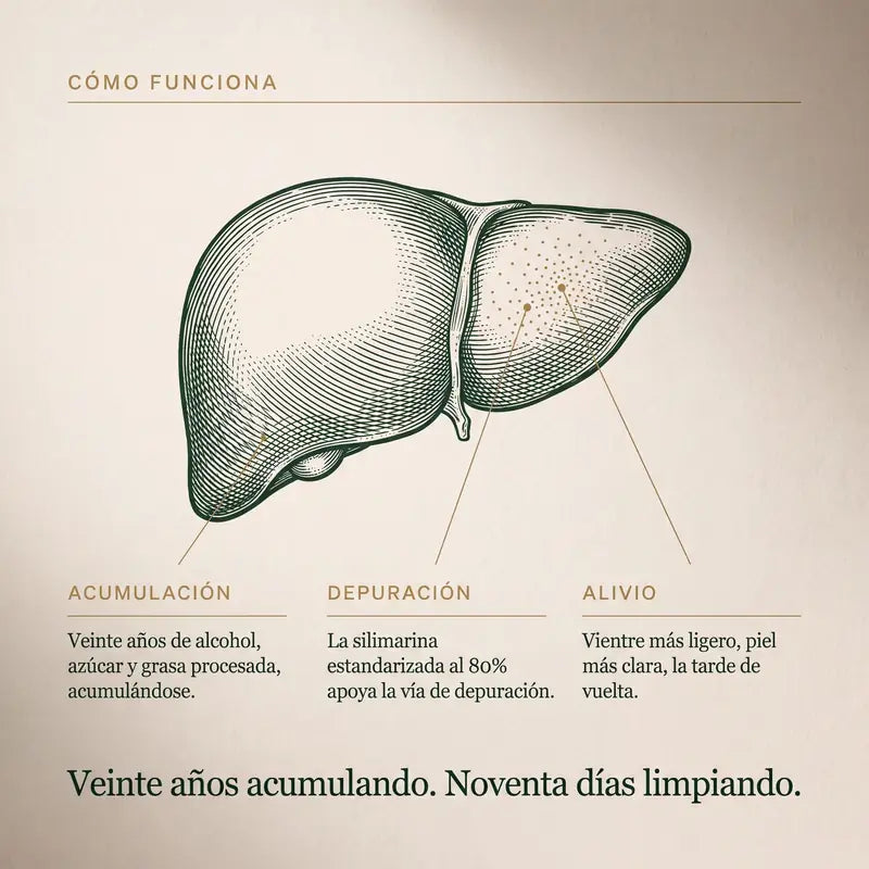 Cómo funciona: acumulación, depuración, alivio