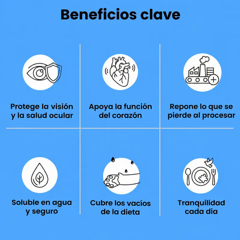 Beneficios clave de la taurina para gatos