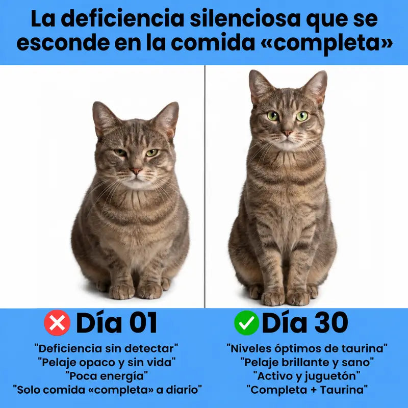 La deficiencia silenciosa que se esconde en la comida completa