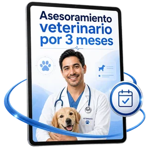 Asesoramiento veterinario por 3 meses de regalo